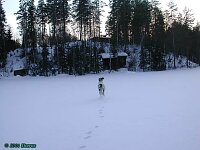 Click for full size image