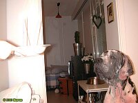Click for full size image
