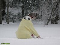 Click for full size image